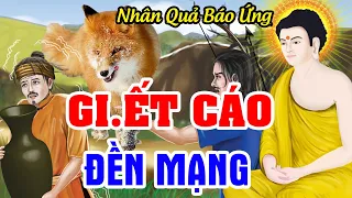 Chuyện Nhân Quả Báo Ứng, G.IẾT CÁO ĐỀN MẠNG - Luật Nhân Quả Khôgn Bỏ Sót 1 Ai | Nên Nghe Để Tránh