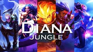 Beginner's Guide to Diana Jungle