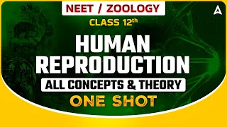 HUMAN REPRODUCTION CLASS 12 ONE SHOT | NEET 2024 | ALL CONCEPTS & THEORY | ZOOLOGY SANKALP BHARAT