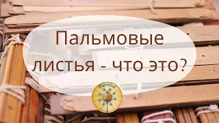 Пальмовые листья - что это?