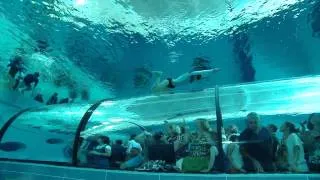 World's deepest pool - Y-40 - Inauguration I