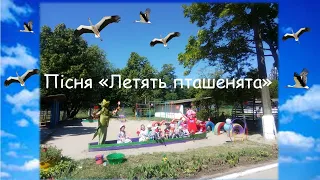 Пісня "Летять пташенята" Кліп для випускників ДНЗ