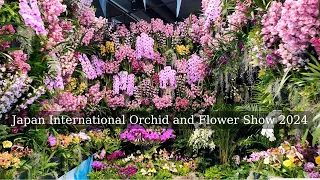 [4K UHD] International Orchid and Flower Show 2024 #orchids #世界らん展2024 #japan #4k