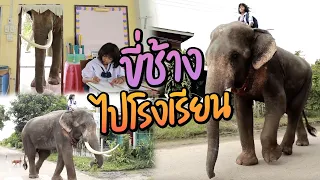 ขี่ช้างไปโรงเรียน | ไทยทึ่ง WOW! THAILAND