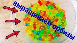 Где орбизы растут лучше - в соевом соусе или в водке??? Проверим!!!