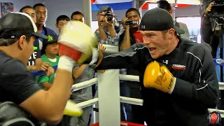WATCH CANELO DESTROY THE MITTS WITH 8 PUNCH COMBINATIONS DURING WORKOUT! (CANELO WORKOUT VIDEO)