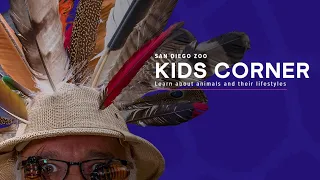 Kids Corner Episode 1 - Animal Builders