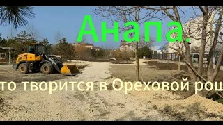 Анапа.Ореховая роща сегодня.