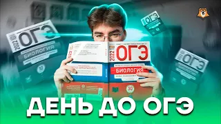 Обратный отсчёт до экзамена | Биология ОГЭ 2022 | Умскул