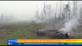 РенТВ. Лесные пожары в Якутии