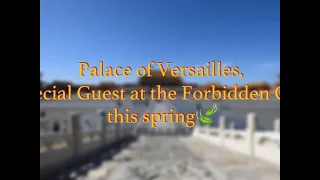 #AmazingChina | Palace of Versailles, special guest at Forbidden City this spring