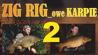 Zig Rigowe Karpie 2