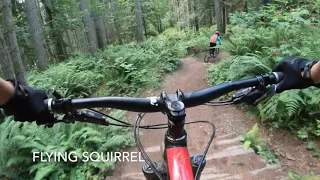 Black and Double Black Diamond Trails|| Duthie Hill Bike Park