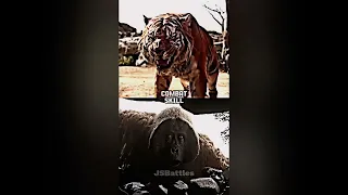 King Louie Vs Shere Kahn