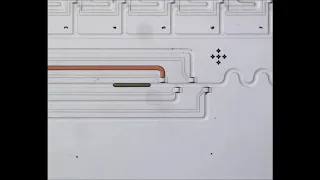 Serial Injection of Droplets (Microfluidic Droplet-Storage Array)