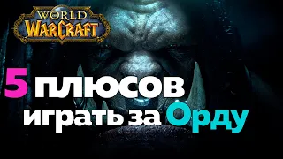 5 ПЛЮСОВ ИГРАТЬ ЗА ОРДУ - Почему именно они? [World of Warcraft]