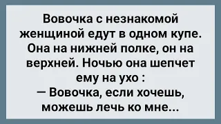 Вовочка с Незнакомой Тетей в Купе! Сборник Свежих Анекдотов! Юмор!