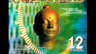 Goa head vol.12 Organic Noise-labyrinth Of Colousre