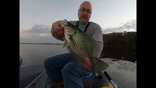 Minnow Fishing for Crappie - Live Minnows for Crappie Fishing Lake Tarpon