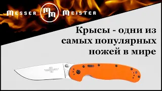 Крысы - одни из самых популярных складных ножей в мире