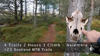 4 Trails in 2 Hours 1 Climb - Aviemore | #23 Scotland MTB Trails