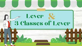 Lever and classes of lever | Three classes of lever grade 5 | How levers work science lesson