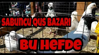 Sabuncu qus bazari. 7 kus pazari