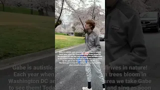 The Cherry Blossoms have peaked in DC and caused Gabe, an autistic and nonverbal teen to sing!