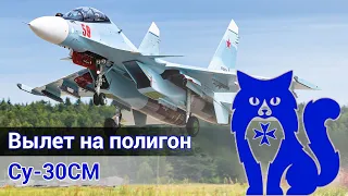 Су-30СМ "Flanker-H" - Первый взгляд на мод и вылет на полигон (DCS World Stream) | WaffenCat