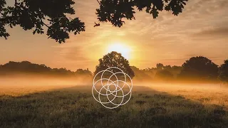 7 Minute Meditation Music, 528 Hz, Solar plexus, Stimulate Love, Dissolving Ego, Releasing Fear.