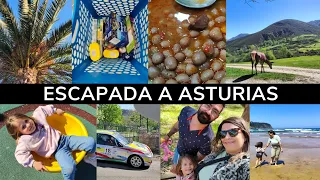 🛍️Compras: Aldi, Pepco, Primor y Primark, gastronomía y playa | Novedades ALDI | Vlog Nerea Nerea