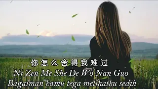 Ni Zen Me She De Wo Nan Guo