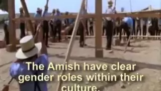 amish barn raising (as depicted in the film "Witness")