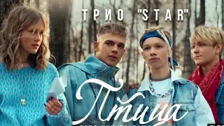 Трио " STAR ". " ПТИЦА " (cover Andrey Gubin)