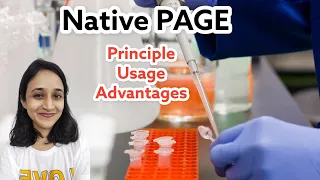 Native PAGE | Protein separation | Principle | Uses | Advantages