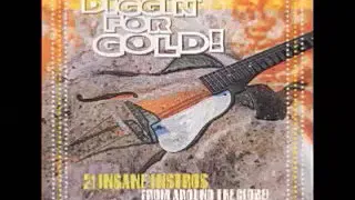 Various ‎– Diggin' For Gold! Insane Surf Rock Instrumental Bands Around The World Music Compilation