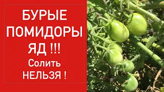 БУРЫЕ ПОМИДОРЫ - ЭТО ЯД !!!БЕРЕГИ ЗДОРОВЬЕ