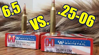 6.5 Creedmoor vs. 25-06 Rem Hornady American Whitetail Interlock Ballistics Gel test w Savage Rifles