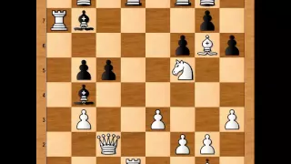 Exploiting light square weaknesses: Karpov vs  Shirov-Biel 1992