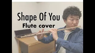 Ed Sheeran - Shape of You(Flute Cover)