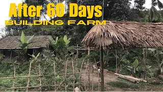 MY FARM AFTER 60 DAYS. Build gates and  casava fences hobit house  raise fish and live a slow life