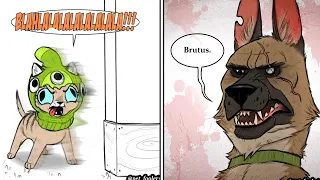 🔥Funny Comics with Unexpected Ending By Pet foolery Brutus and Pixie #1 🔥