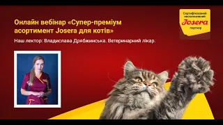 Онлайн вебінар №2. «Супер-преміум асортимент Josera для котів»
