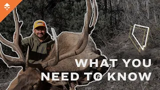 HOW TO GO HUNTING IN NEVADA