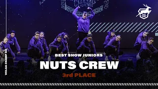 VOLGA CHAMP 2019 XII | BEST SHOW JUNIORS | 3rd place | NUTS CREW
