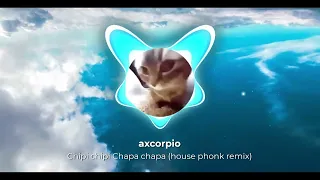 Chipi chipi Chapa chapa (House phonk Remix)