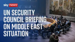 UN Security Council hold briefing on situation in Middle East│Wednesday 17 April