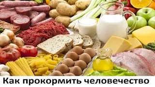 Как прокормить человечество. Всё полезно, что в рот полезло