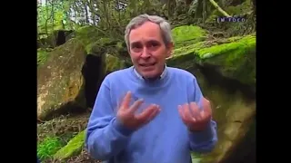 Megalithic site at Terceira Island, Azores - Prof. Felix Rodriguez