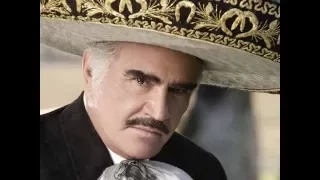 Que Bonito Amor - Vicente Fernandez